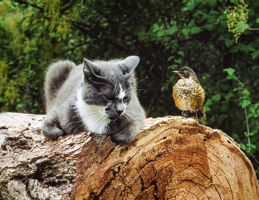 Hey Pandas, Post The Coolest Picture Of An Animal That You’ve Taken (Closed) Hey Pandas, Post The Coolest Picture Of An Animal That You’ve Taken (Closed)