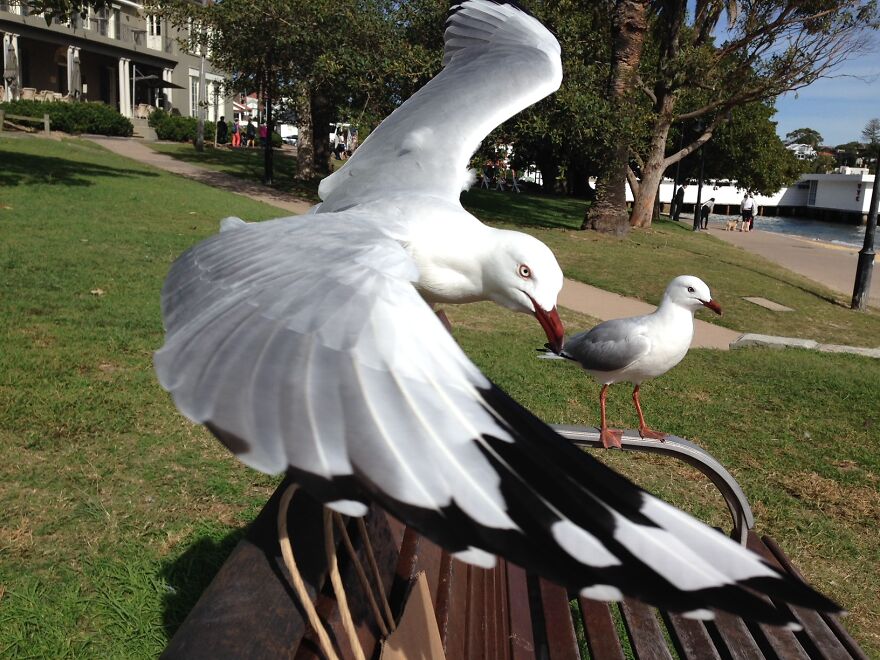 Hey Pandas, Post The Coolest Picture Of An Animal That You’ve Taken (Closed) Hey Pandas, Post The Coolest Picture Of An Animal That You’ve Taken (Closed)