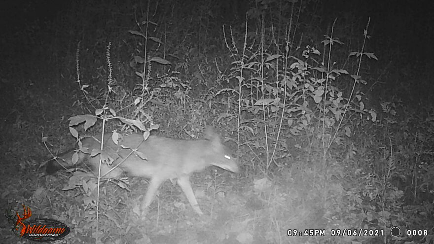 Hey Pandas, Post The Coolest Picture Of An Animal That You’ve Taken (Closed) Hey Pandas, Post The Coolest Picture Of An Animal That You’ve Taken (Closed)