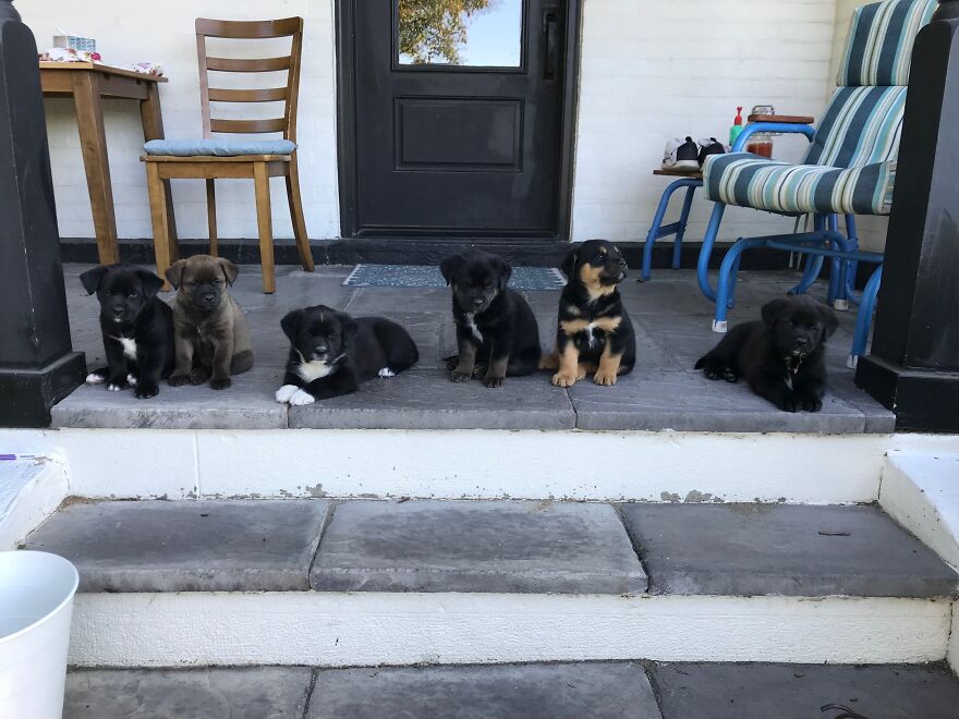 Hey Pandas, Post The Coolest Picture Of An Animal That You’ve Taken (Closed) Hey Pandas, Post The Coolest Picture Of An Animal That You’ve Taken (Closed)