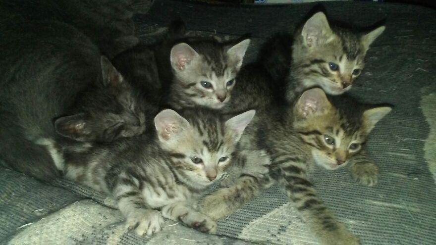 Hey Pandas, Post The Coolest Picture Of An Animal That You’ve Taken (Closed) Hey Pandas, Post The Coolest Picture Of An Animal That You’ve Taken (Closed)