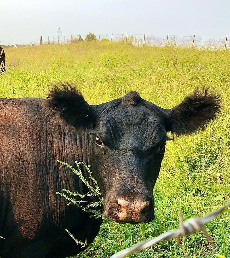 Hey Pandas, Post The Coolest Picture Of An Animal That You’ve Taken (Closed) Hey Pandas, Post The Coolest Picture Of An Animal That You’ve Taken (Closed)