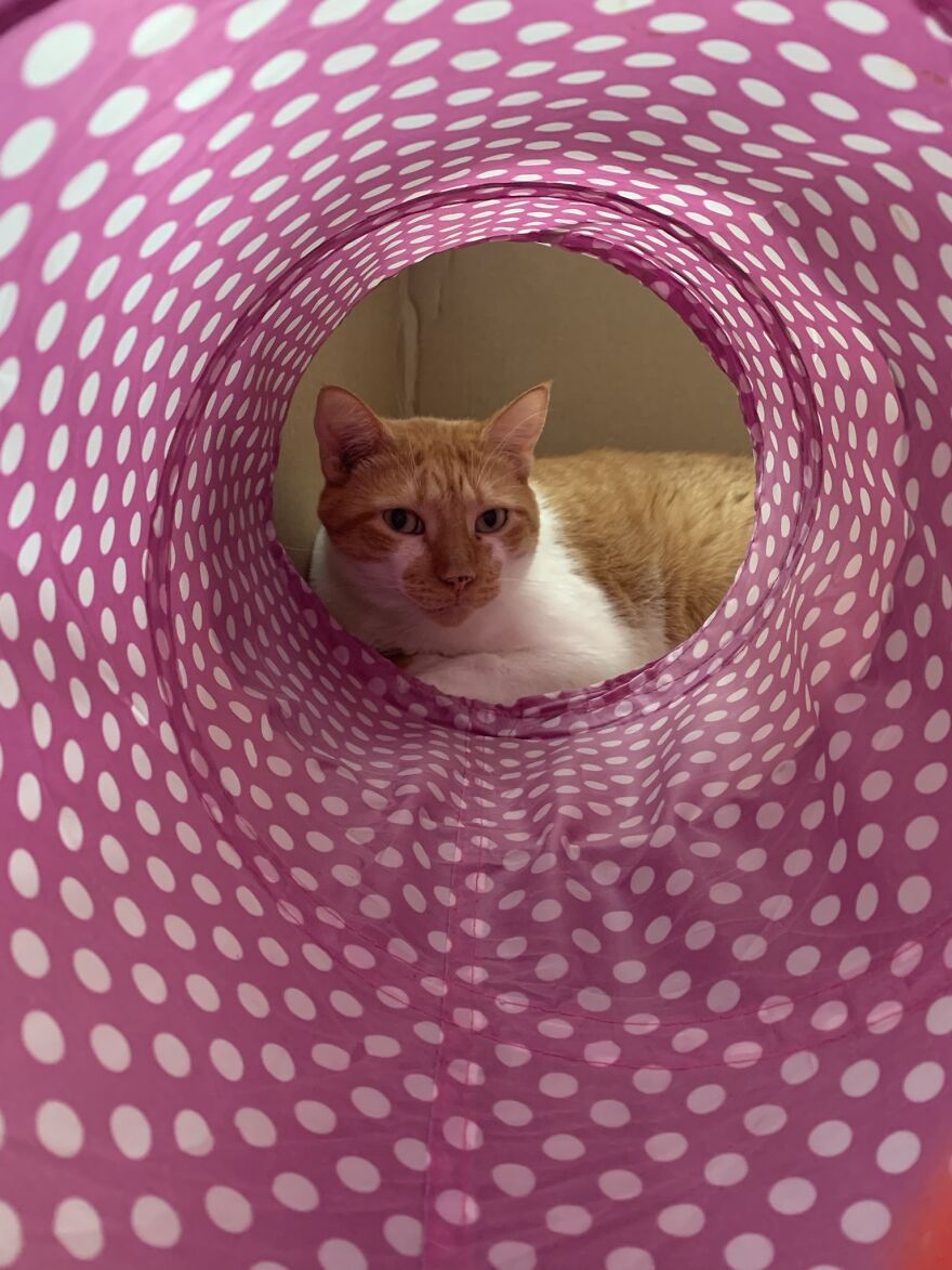 Hey Pandas, Post The Coolest Picture Of An Animal That You’ve Taken (Closed) Hey Pandas, Post The Coolest Picture Of An Animal That You’ve Taken (Closed)