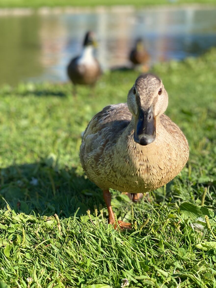 Hey Pandas, Post The Coolest Picture Of An Animal That You’ve Taken (Closed) Hey Pandas, Post The Coolest Picture Of An Animal That You’ve Taken (Closed)