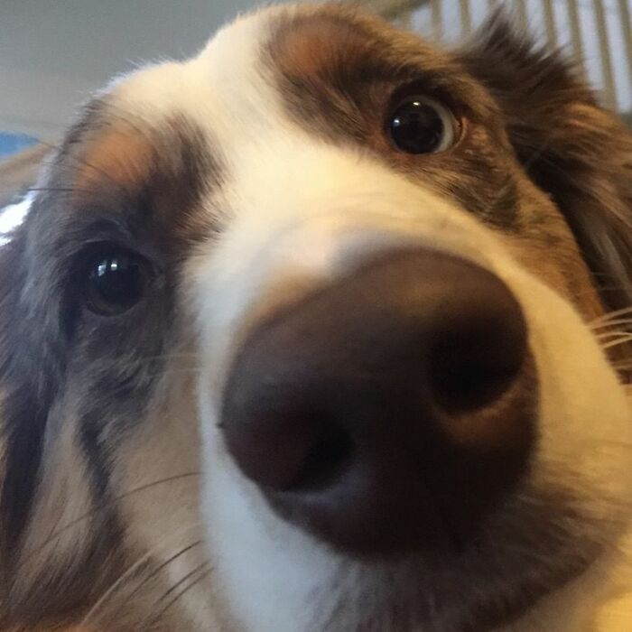 Hey Pandas, Post A Pic Of A Cute Nose (Closed) Hey Pandas, Post A Pic Of A Cute Nose (Closed)