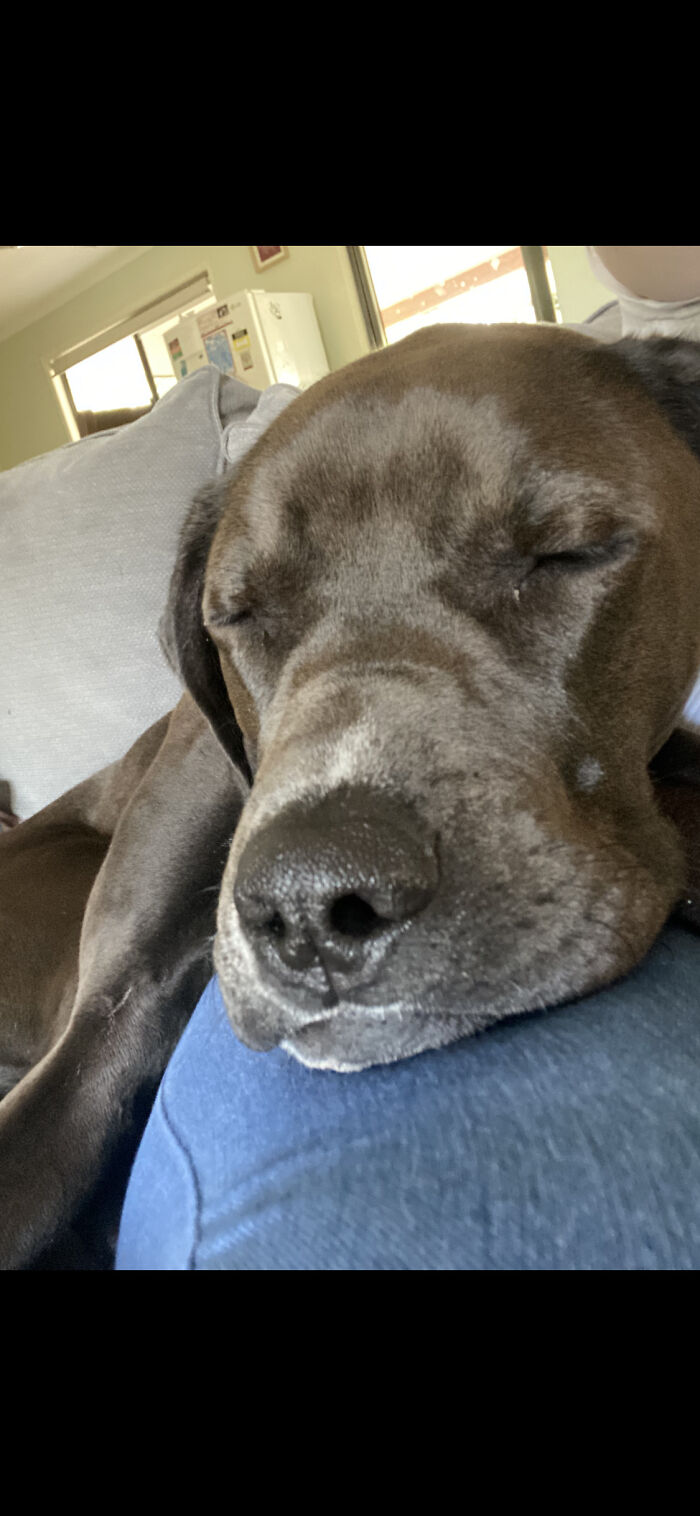 Hey Pandas, Post A Pic Of A Cute Nose (Closed) Hey Pandas, Post A Pic Of A Cute Nose (Closed)