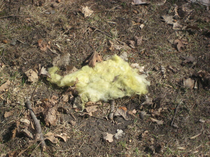 40 Times People Did Something So Dumb For Absolutely No Reason And Shared It In This Thread 40 Times People Did Something So Dumb For Absolutely No Reason And Shared It In This Thread