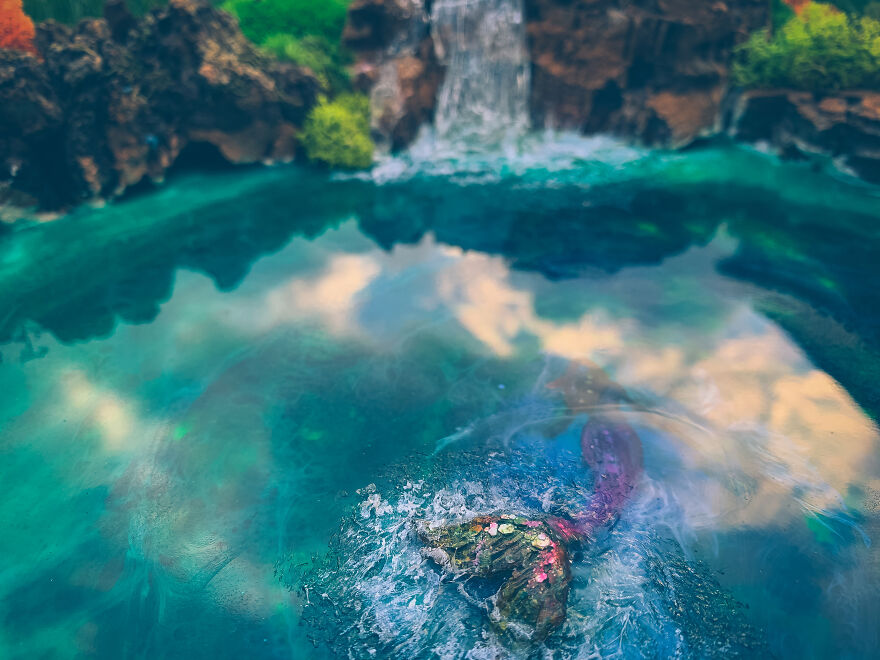 I Made A Lake Surrounded By Forest-Inspired Wall Art With Preserved Moss (3 Pics)
