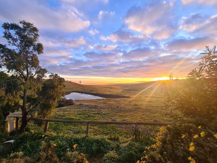 Hey Pandas, Post The Best Picture On Your Phone That You Took (Closed) Hey Pandas, Post The Best Picture On Your Phone That You Took (Closed)