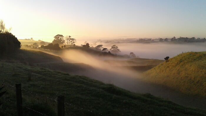 Hey Pandas, Post The Best Picture On Your Phone That You Took (Closed) Hey Pandas, Post The Best Picture On Your Phone That You Took (Closed)