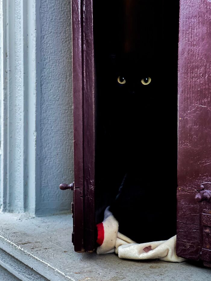 Hey Pandas, Post The Best Picture On Your Phone That You Took (Closed)