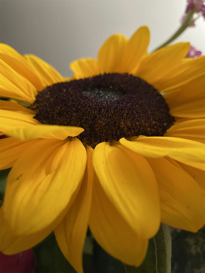 Hey Pandas, Post The Best Picture On Your Phone That You Took (Closed)