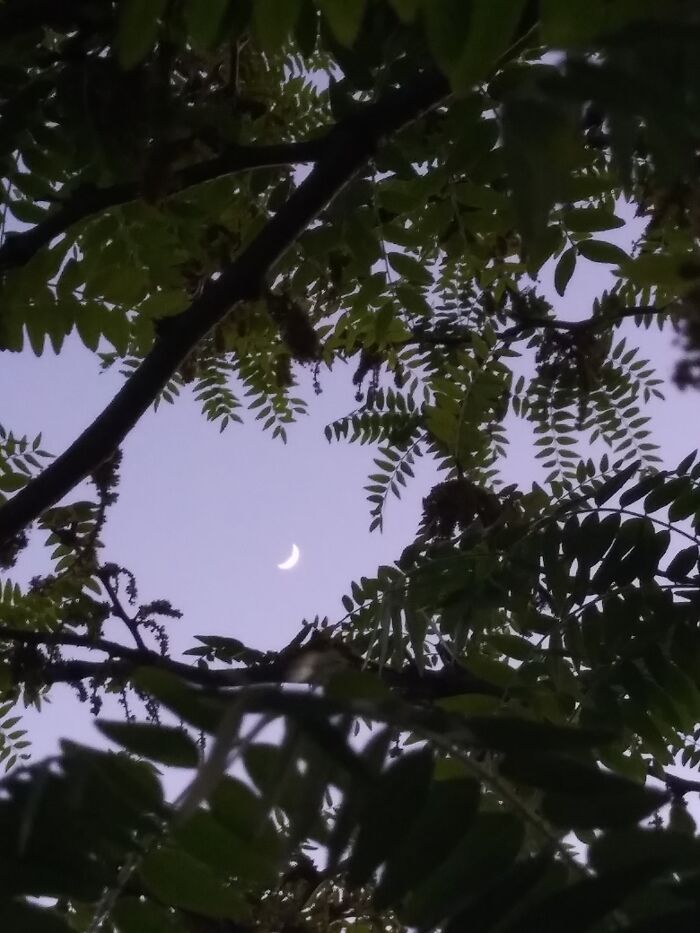 Hey Pandas, Post The Best Picture On Your Phone That You Took (Closed)