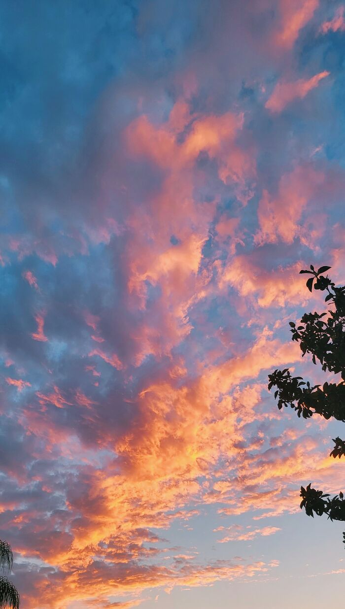 Hey Pandas, Post The Best Picture On Your Phone That You Took (Closed)