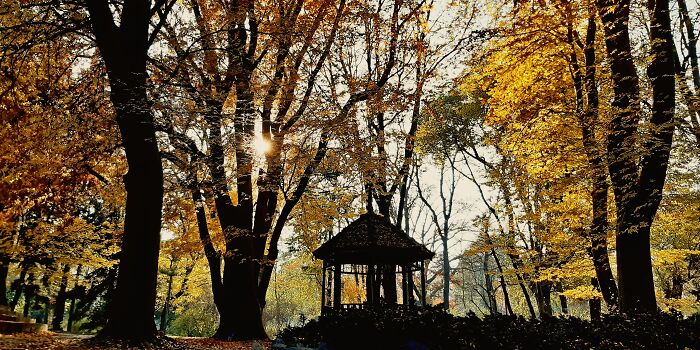 Hey Pandas, Post The Best Picture On Your Phone That You Took (Closed)