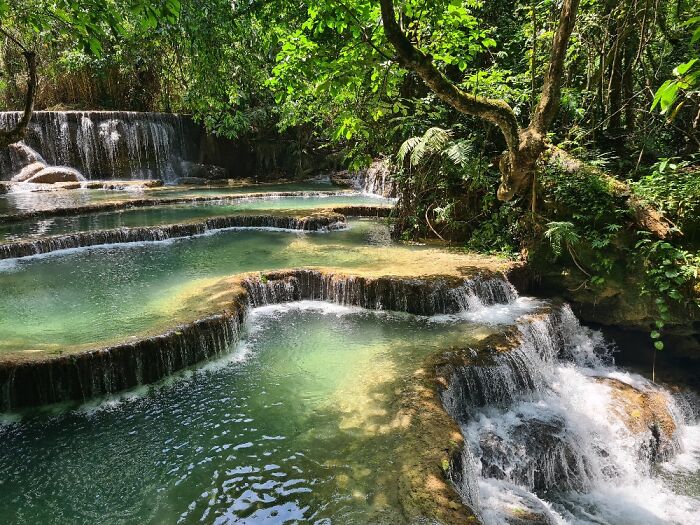 Hey Pandas, Post The Best Picture On Your Phone That You Took (Closed)