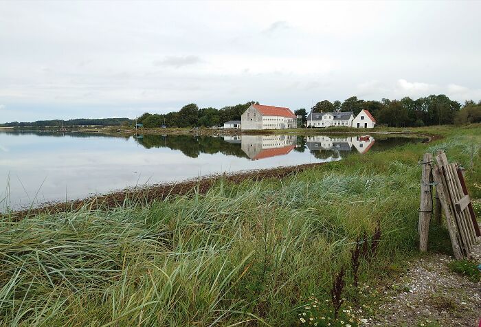 Hey Pandas, Post The Best Picture On Your Phone That You Took (Closed)