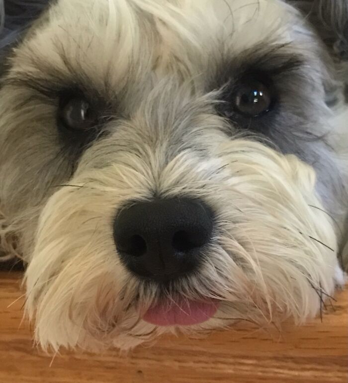 Hey Pandas, Post The Best Picture On Your Phone That You Took (Closed)