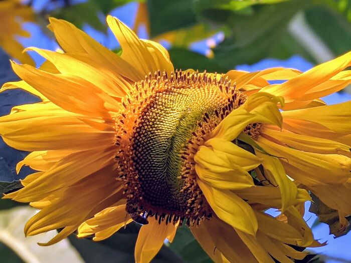 Hey Pandas, Post The Best Picture On Your Phone That You Took (Closed)