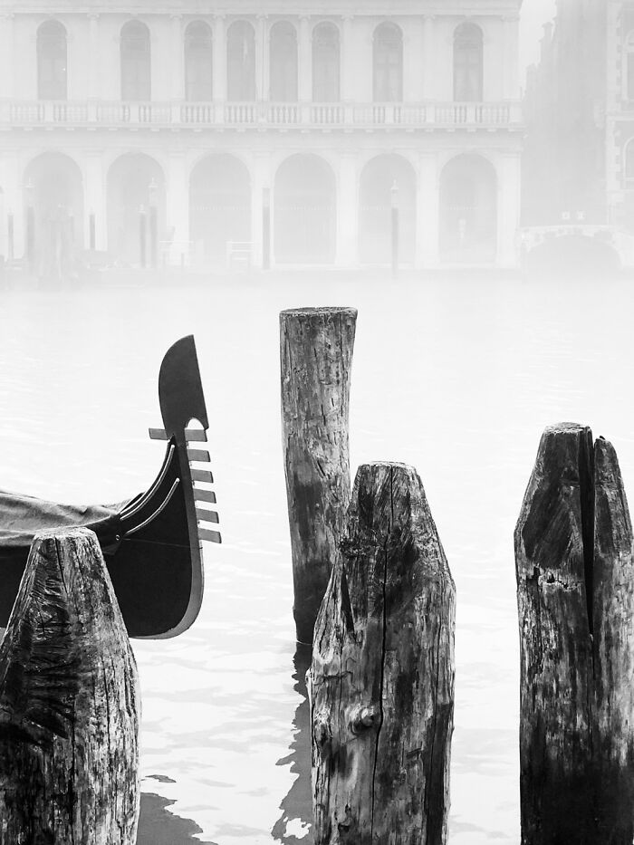 Hey Pandas, Post The Best Picture On Your Phone That You Took (Closed)