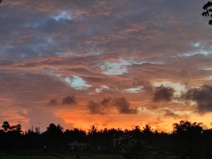 Hey Pandas, Post The Best Picture On Your Phone That You Took (Closed)