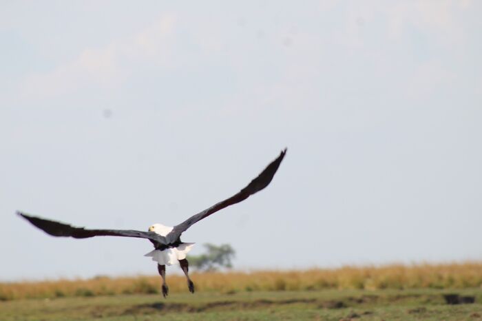 Hey Pandas, Post The Best Picture On Your Phone That You Took (Closed)