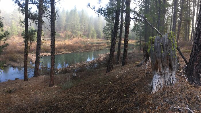 Hey Pandas, Post The Best Picture On Your Phone That You Took (Closed)