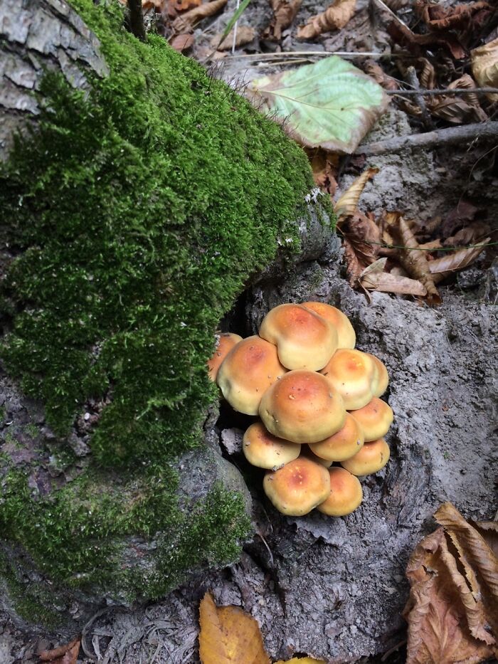 Hey Pandas, Post The Best Picture On Your Phone That You Took (Closed)