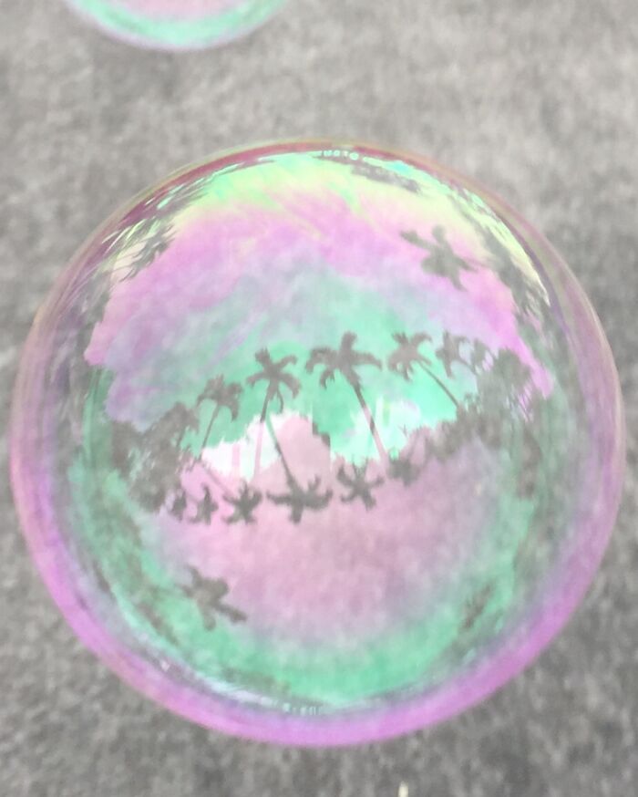 Hey Pandas, Post The Best Picture On Your Phone That You Took (Closed)