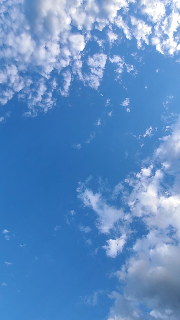 Hey Pandas, Post The Best Picture On Your Phone That You Took (Closed)