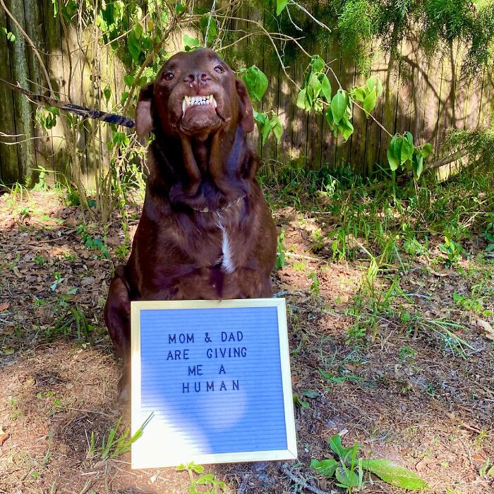 If You’re Feeling Down, These 50 Wholesome Posts Might Lift You Up (New Pics) If You’re Feeling Down, These 50 Wholesome Posts Might Lift You Up (New Pics)