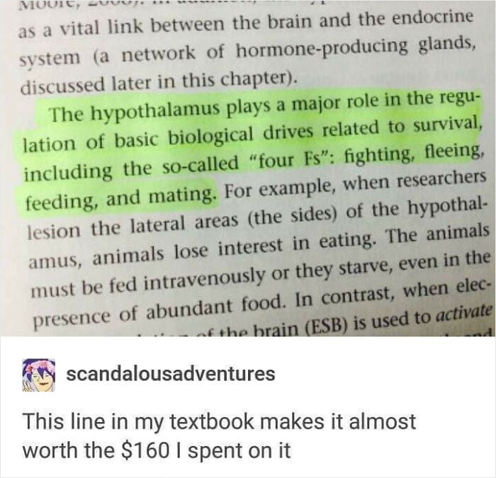 35 Funny Tumblr Posts Students Will Probably Relate To 35 Funny Tumblr Posts Students Will Probably Relate To