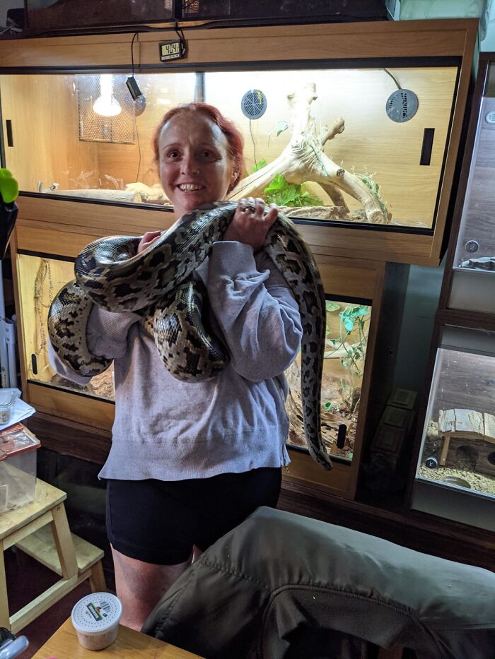 Hey Pandas, Post A Picture Of A Cute Snake Hey Pandas, Post A Picture Of A Cute Snake