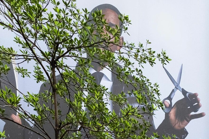 30 New Accidentally Brilliant Shots By Edas Wong