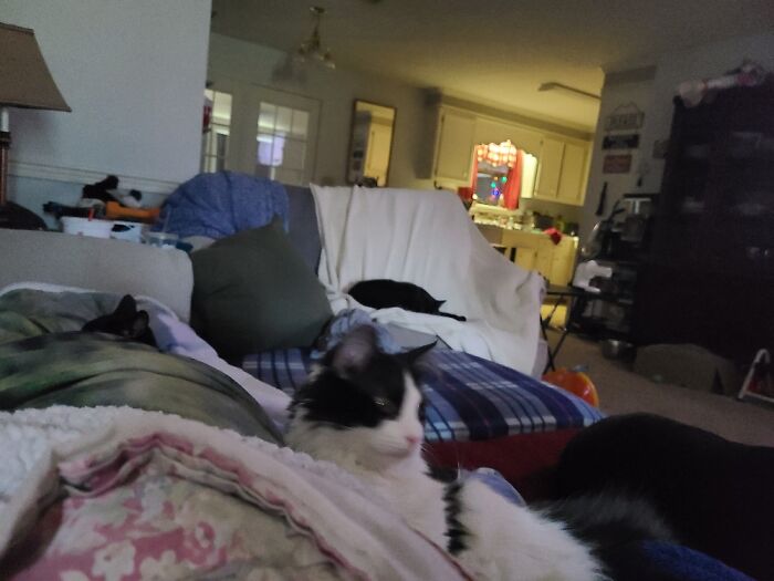 Hey Pandas, Post The 5th Image In Your Camera Roll (Closed) Hey Pandas, Post The 5th Image In Your Camera Roll (Closed)