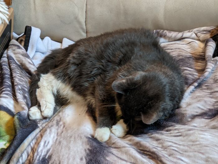 Hey Pandas, Post The 5th Image In Your Camera Roll (Closed) Hey Pandas, Post The 5th Image In Your Camera Roll (Closed)