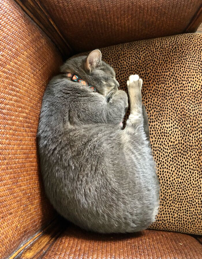 Hey Pandas, Post The 5th Image In Your Camera Roll (Closed) Hey Pandas, Post The 5th Image In Your Camera Roll (Closed)