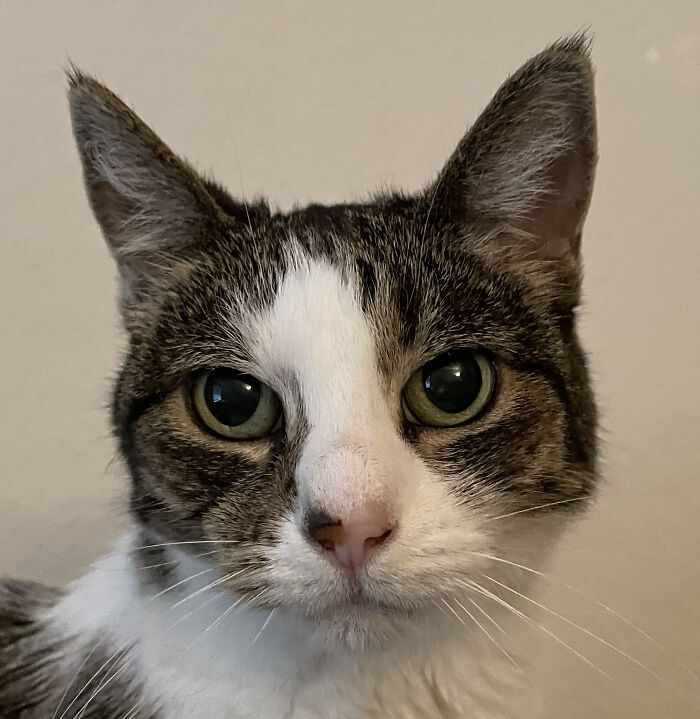 Hey Pandas, Post The 5th Image In Your Camera Roll (Closed) Hey Pandas, Post The 5th Image In Your Camera Roll (Closed)