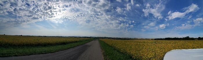 Hey Pandas, Post The 5th Image In Your Camera Roll (Closed) Hey Pandas, Post The 5th Image In Your Camera Roll (Closed)