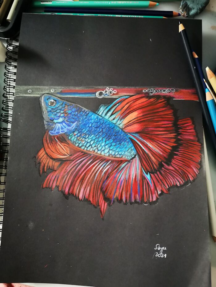 Hey Pandas, Show Me Your Most Recent Traditional Art Piece That You Are Proud Of Hey Pandas, Show Me Your Most Recent Traditional Art Piece That You Are Proud Of