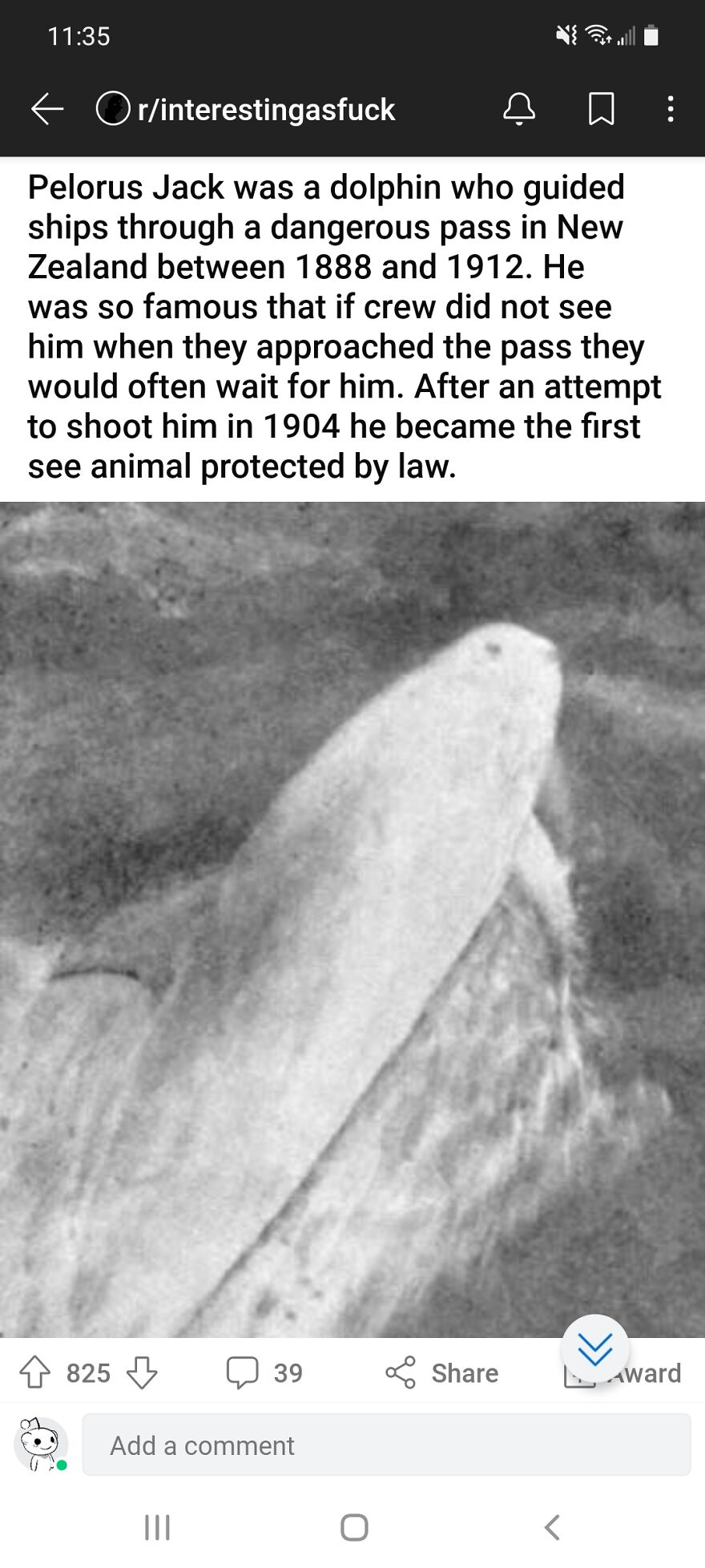 Hey Pandas, Post Your Funniest And Weirdest Screenshot Hey Pandas, Post Your Funniest And Weirdest Screenshot