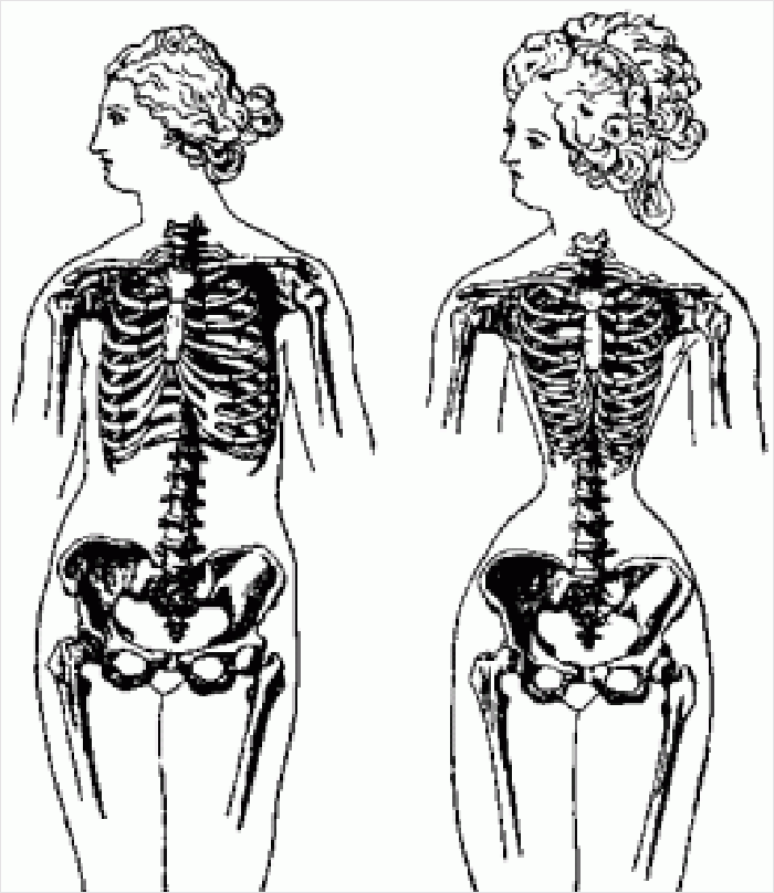 Guy On Tiktok Explains What Straight People Find Attractive In The Opposite Sex Using Evolutionary Theory