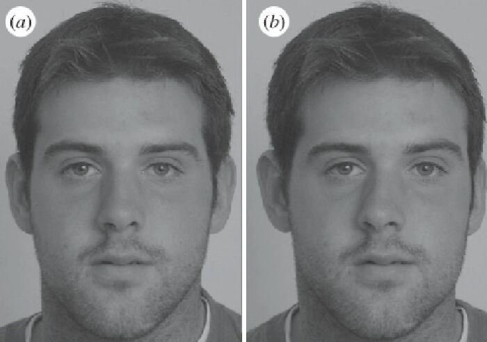 Guy On Tiktok Explains What Straight People Find Attractive In The Opposite Sex Using Evolutionary Theory