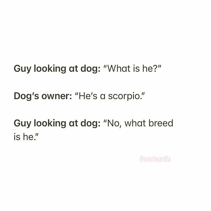 50 Times People Overheard Conversations In L.A. That Were Too Good To Keep Private (New Pics) 50 Times People Overheard Conversations In L.A. That Were Too Good To Keep Private (New Pics)