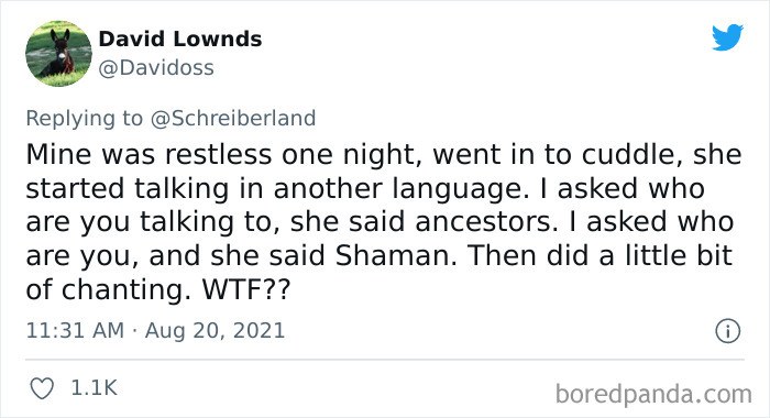 30 Parents Share How Their Kids Casually Dropped Some Creepy Sentences That Sent Chills Down Their Spines 30 Parents Share How Their Kids Casually Dropped Some Creepy Sentences That Sent Chills Down Their Spines