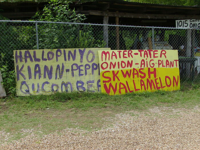 Hey Pandas, What Is Something Weird You Have Seen In Public? (Closed) Hey Pandas, What Is Something Weird You Have Seen In Public? (Closed)