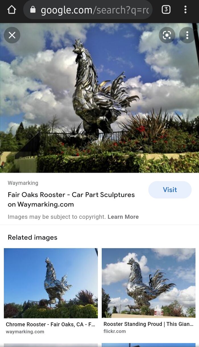 Hey Pandas, What Is Something Weird You Have Seen In Public? (Closed) Hey Pandas, What Is Something Weird You Have Seen In Public? (Closed)