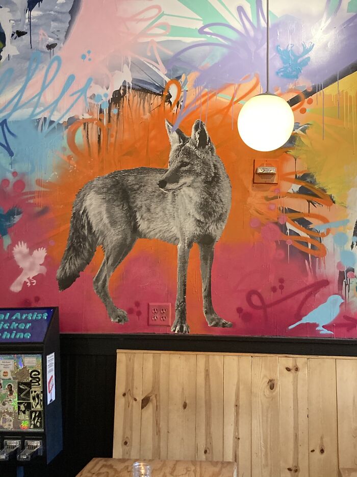 Hey Pandas, What Is Something Weird You Have Seen In Public? (Closed) Hey Pandas, What Is Something Weird You Have Seen In Public? (Closed)