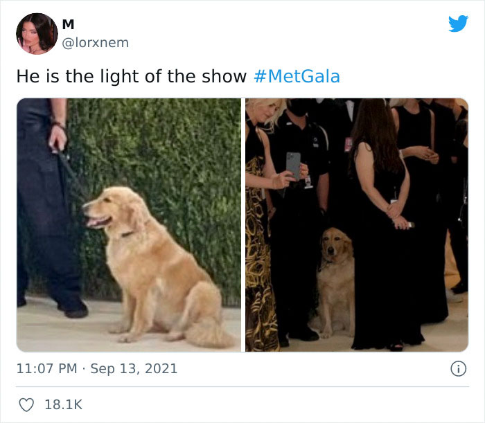 30 Hilarious Tweet Reactions To The 2021 Met Gala 30 Hilarious Tweet Reactions To The 2021 Met Gala