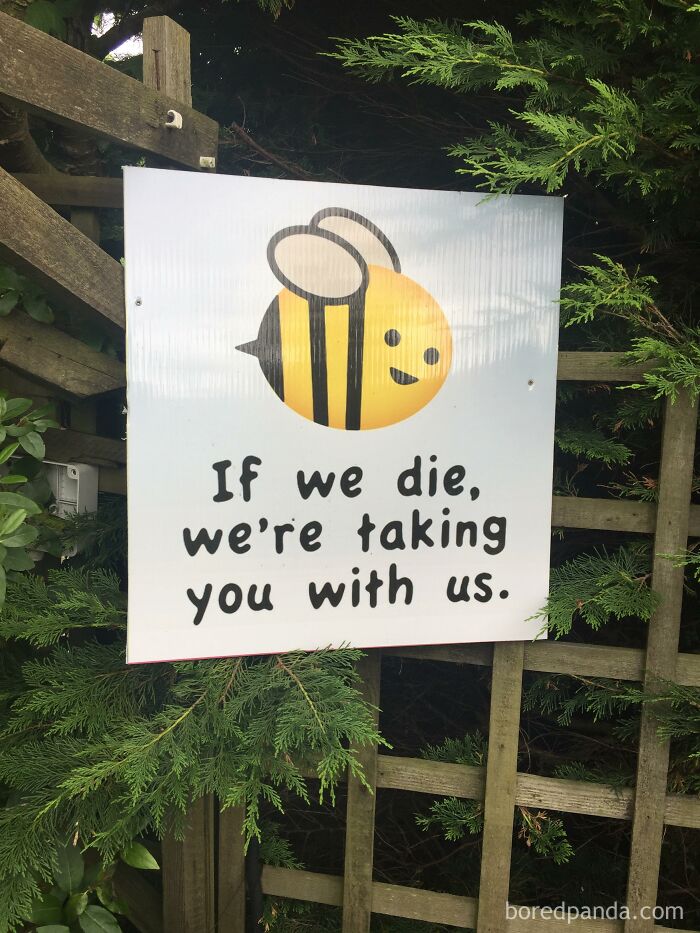 40 Best &#8216;Ads With Threatening Auras&#8217; Shared On This Hilarious Facebook Group